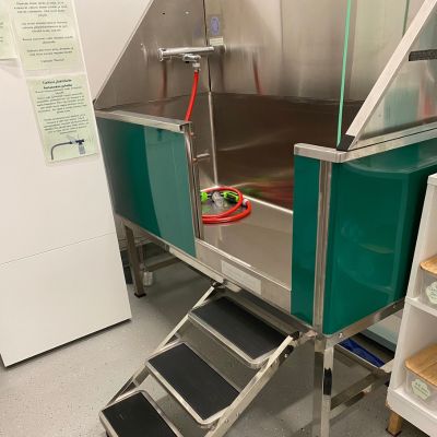 Koirien pesuallas, johon johtaa pienet metalliset portaat. Allas on vihreä